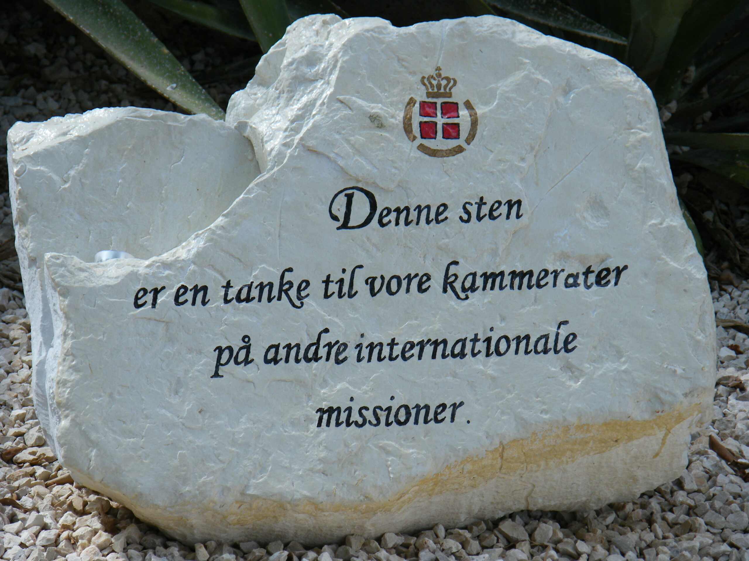 DR sætter fokus på danske veteraner og deres pårørende