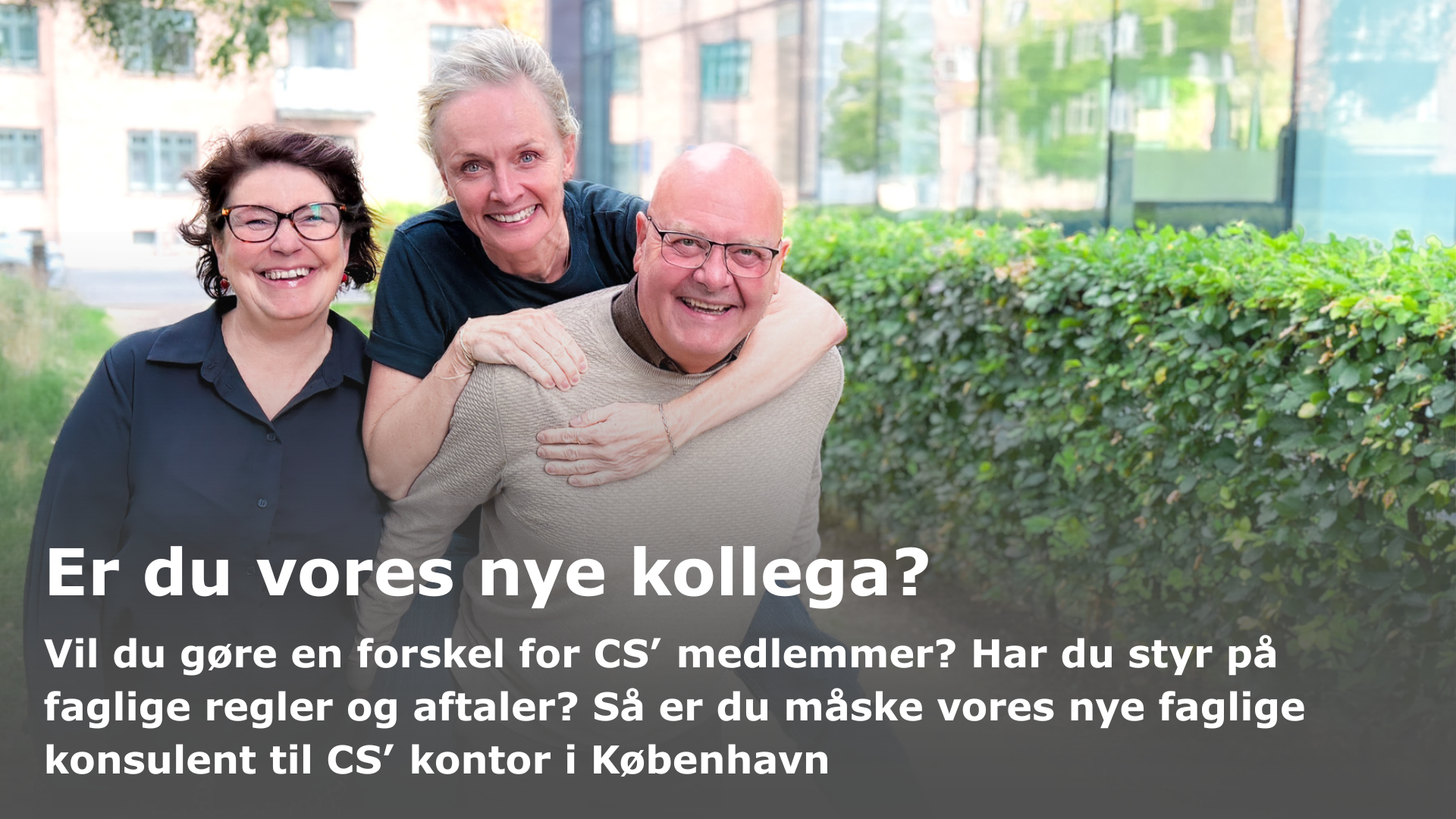 Er du vores nye faglige konsulent?